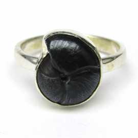 Stříbrný prsten s amonitem