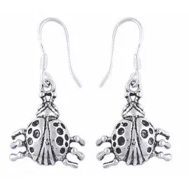 Stříbrné naušnice berušky