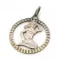 Stříbrný přívěsek znamení panna