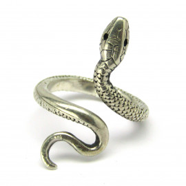 Stříbrný prsten had