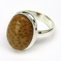 Stříbrný prsten s fosilním korálem