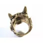 Unikátní starožitný stříbrný prsten čert
