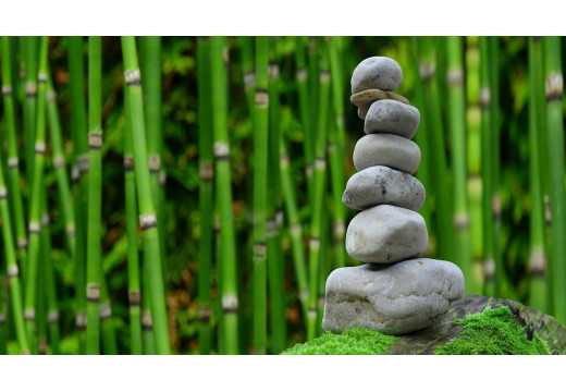 Rovnováha: Jakou roli hraje v lidském životě?