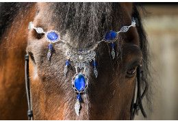 Motivy zvířat při výrobě šperků